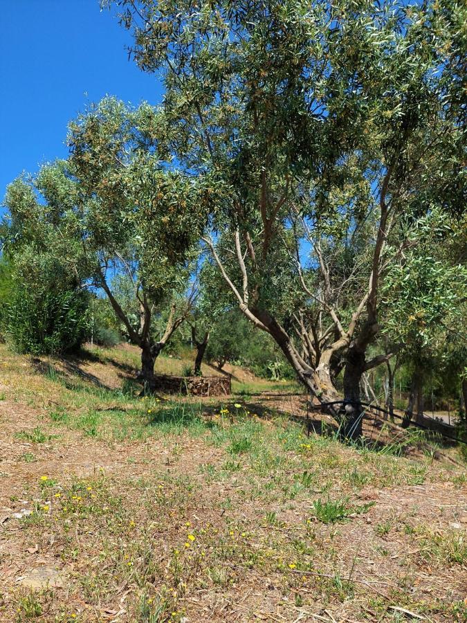 Casa Mama Βίλα Portixeddu Εξωτερικό φωτογραφία